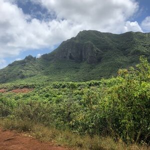 Meet your Posher, Paul